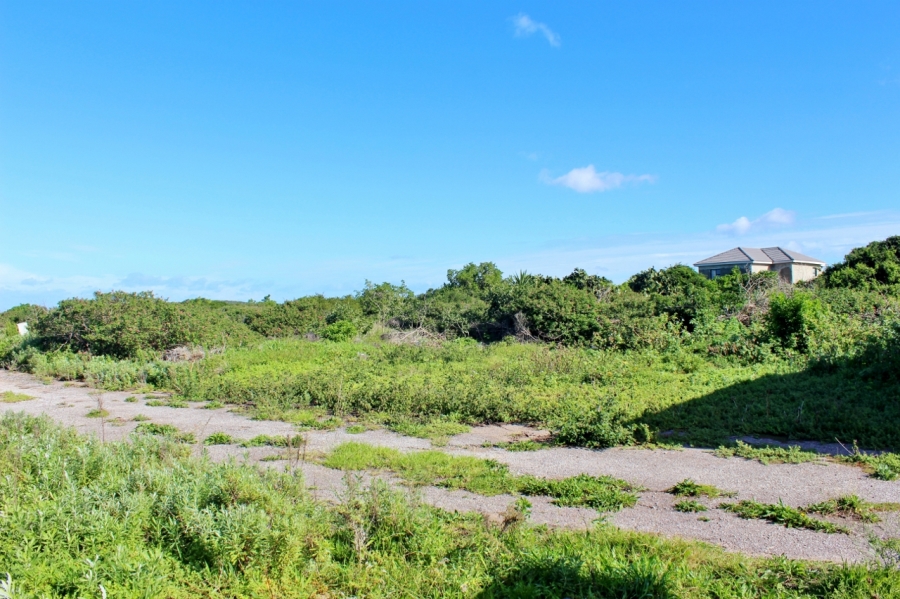 0 Bedroom Property for Sale in Forest Downs Eastern Cape
